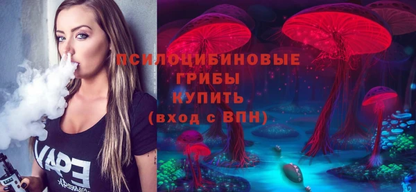 амф Алзамай