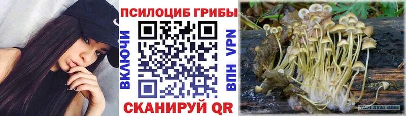 Галлюциногенные грибы Magic Shrooms  Тихвин 